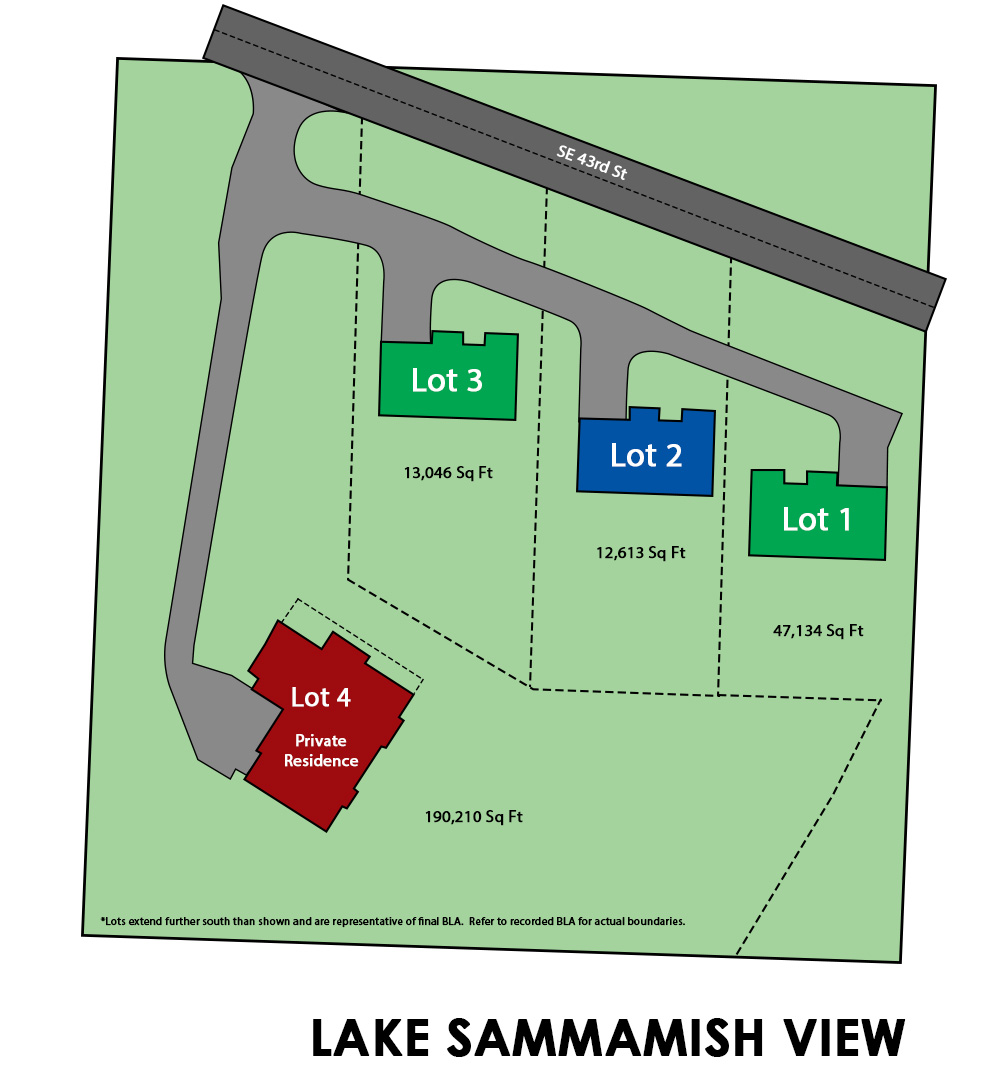 Lake Sammamish View