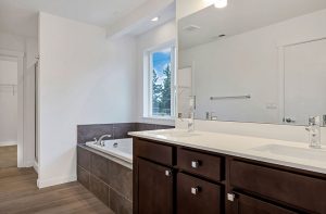 Sapphire on Kirkland Ave Master Bath