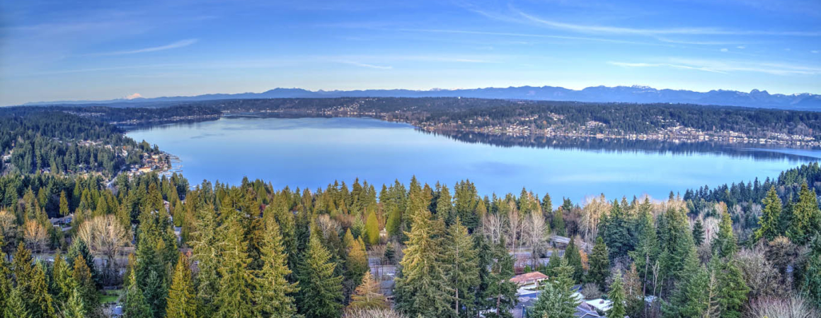 Lake Sammamish Views