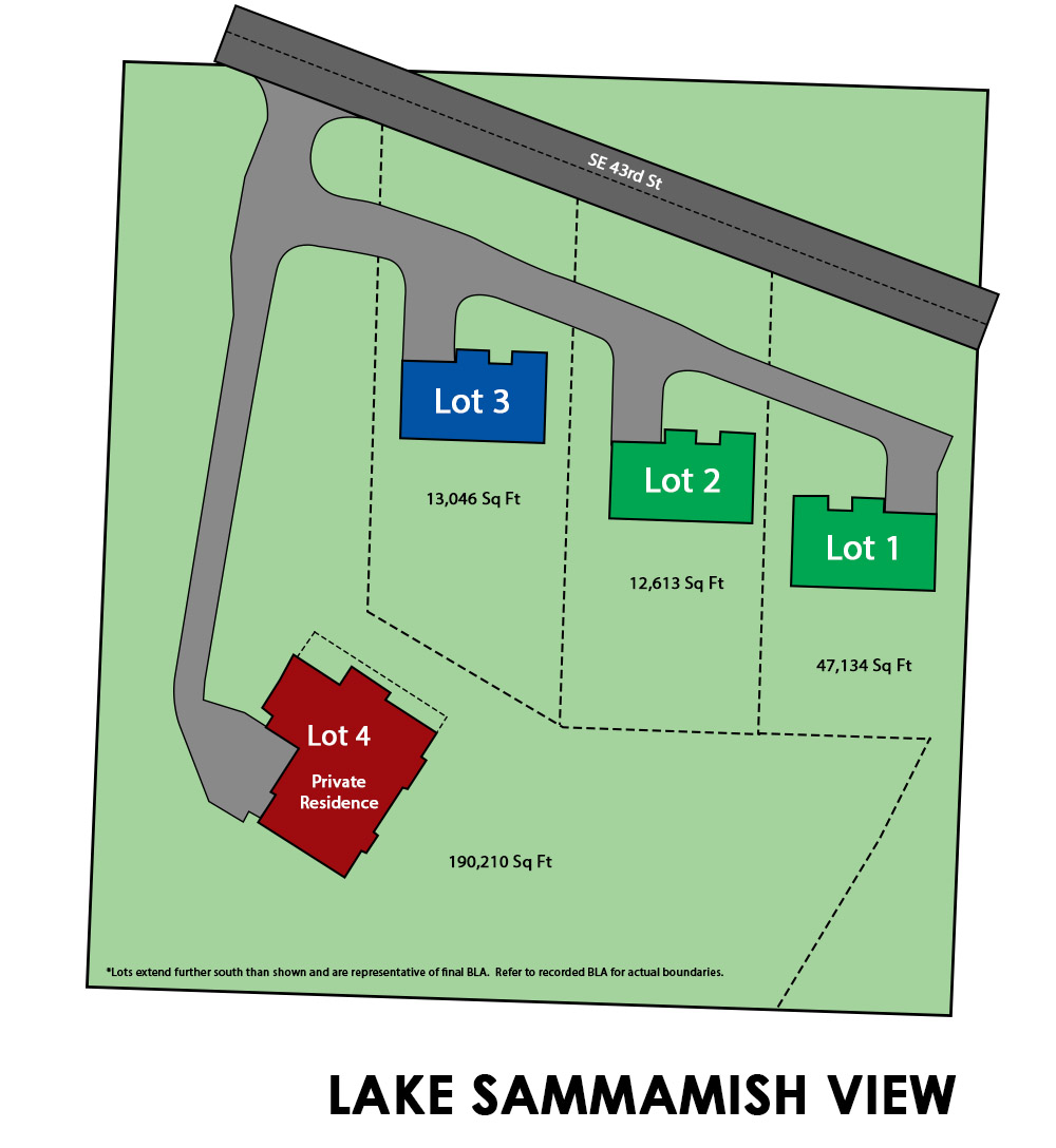 Lake Sammamish View