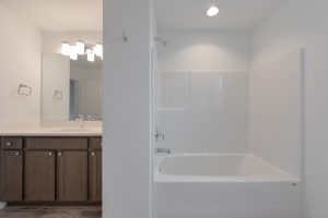 Lot 4 Bathroom