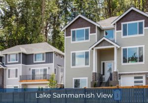 Lake Sammamish View