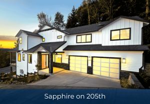 Sapphire 205th button