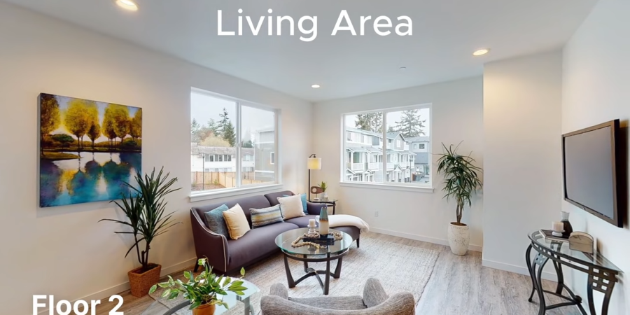Living area video frame